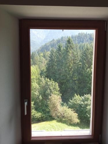a window with a view of a forest of trees at Appartamento 2 Sottocastello in Pieve di Cadore