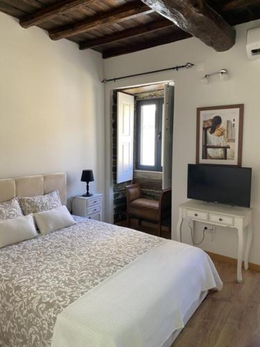 a bedroom with a large bed and a television at Casa Amélia in Vila Nova de Foz Coa