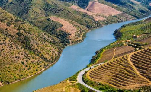 an aerial view of a river in a valley at Casa Amélia in Vila Nova de Foz Coa