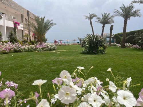 Fotografie z fotogalerie ubytování Sunny Beach Cecelia Resort v destinaci Hurghada