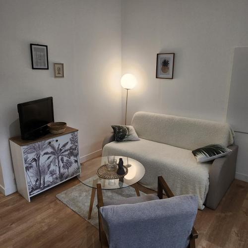 a living room with a couch and a tv at L'aT3lier d'Orthez in Orthez