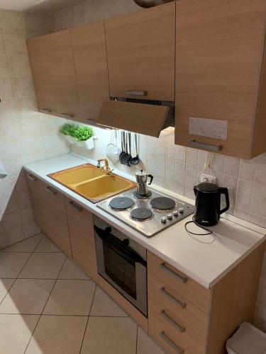 Η κουζίνα ή μικρή κουζίνα στο Apartman276eu Passo del Tonale