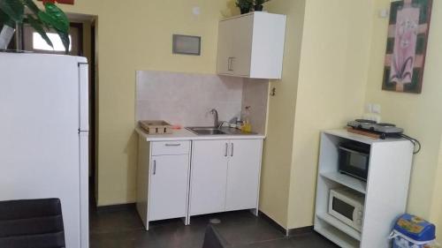 a small kitchen with a sink and a refrigerator at Rose Dead Sea Neve Zohar in Neve Zohar