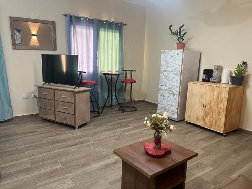 TV tai viihdekeskus majoituspaikassa Hostal Bless house