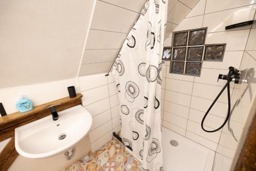 a bathroom with a sink and a shower at Horní Strakův mlýn in Úštěk