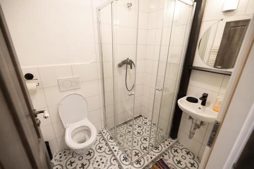 a small bathroom with a toilet and a sink at Horní Strakův mlýn in Úštěk