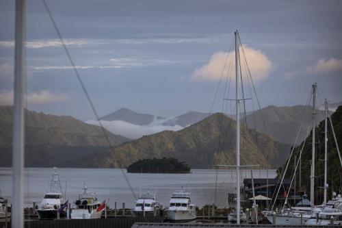 a group of boats docked in a harbor with mountains at Edit Picton in Picton