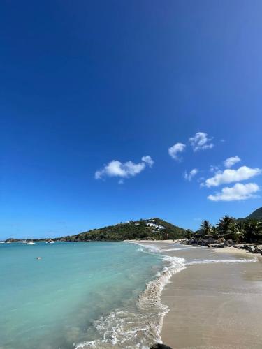 a view of a beach with the ocean at Cozy apartment with a relaxing terrace, 10 min from beaches and restaurants in Marigot