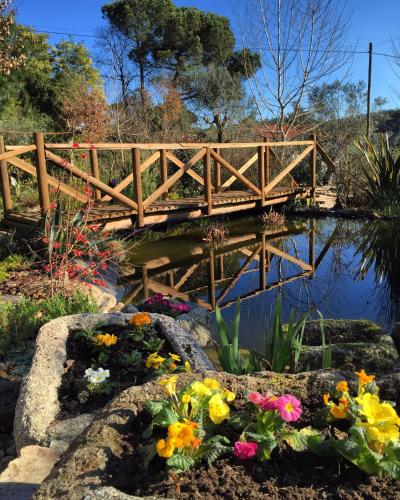 a wooden bridge over a pond with flowers at Moinhos do Pisão in Povoa Dao