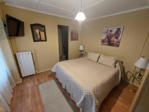 a bedroom with a bed and a television in it at Hostal de la Avenida in Punta Arenas