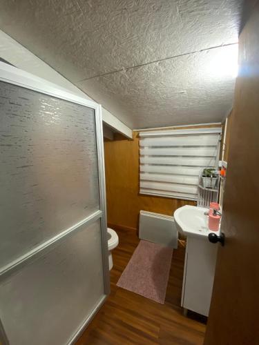 a bathroom with a shower and a toilet and a sink at Departamento la espiga in Chaitén