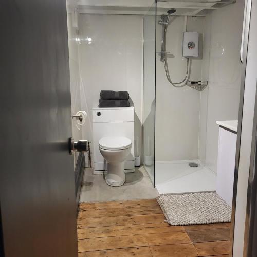a white bathroom with a toilet and a shower at 21 Mini Loft - Prime Location - Hove - Quiet in Brighton & Hove