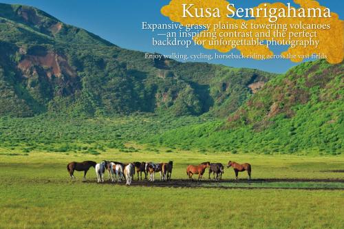 a group of horses standing in a field at KAMENOI HOTEL Aso in Aso