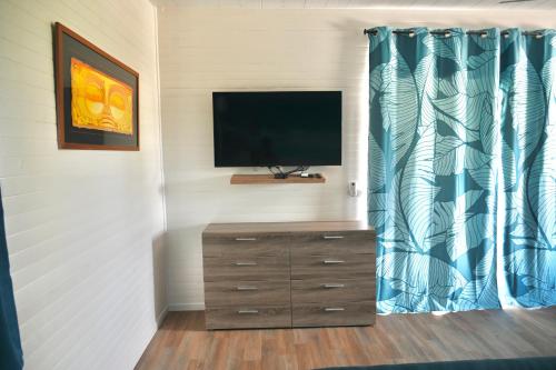TV a/nebo společenská místnost v ubytování Les 1000 Fleurs