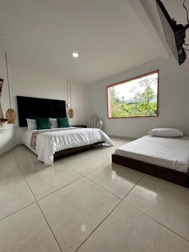 a white bedroom with two beds and a window at Mahalo Hostel in Salento