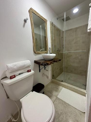 a bathroom with a toilet and a sink and a shower at Mahalo Hostel in Salento