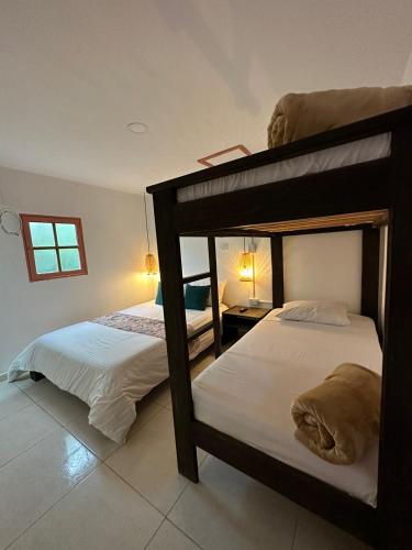 a bedroom with two bunk beds in a room at Mahalo Hostel in Salento