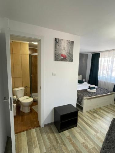 a bathroom with a bed and a toilet at Casa Sofia Dorna Candrenilor in Dorna Cîndrenilor