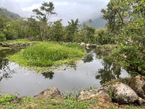 a pond in the middle of a field with trees at Hostería CASA SAN LUIS in Mindo