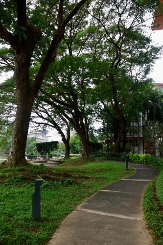 Ein Garten an der Unterkunft Pico De Loro Room Rate