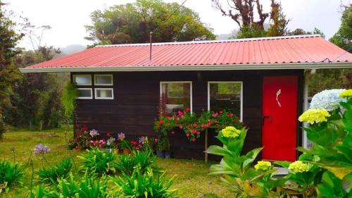 Zahrada ubytování Finca La Picuda Quetzal Cottage