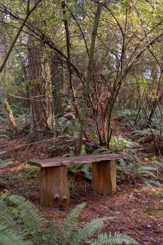 a wooden bench sitting in the middle of a forest at Water Mtn Views, Forest Walk To Beach! in Clinton