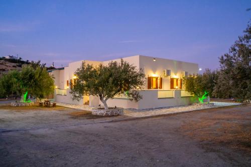a white house with a tree in front of it at Olive Studios Karpathos Studio #1 in Karpathos Town