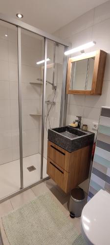 a bathroom with a sink and a shower and a toilet at Villa Hilda in Moosheim