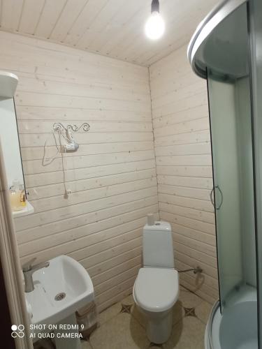 a small bathroom with a toilet and a sink at Nota Bene Mykulychyn in Mykulychyn