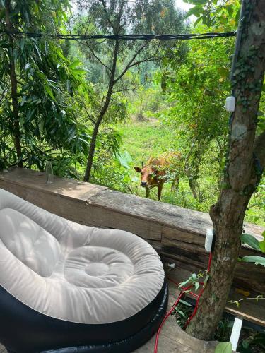 Gallery image of mehome in Cư Chinh