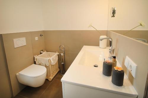 a bathroom with a toilet and a white sink at Ferienhaus Viktoria in Abfaltersbach