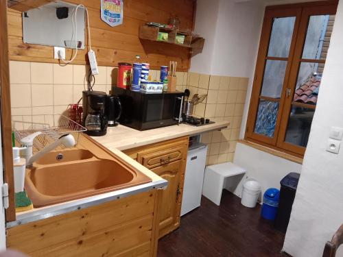 une cuisine avec un évier et un micro-ondes dans l'établissement l'HYPERCENTRE, à Clermont-Ferrand