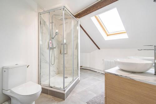 une salle de bain avec une douche, des toilettes et un lavabo dans l'établissement Grand appartement Reims gare centre 4 chambres, à Reims