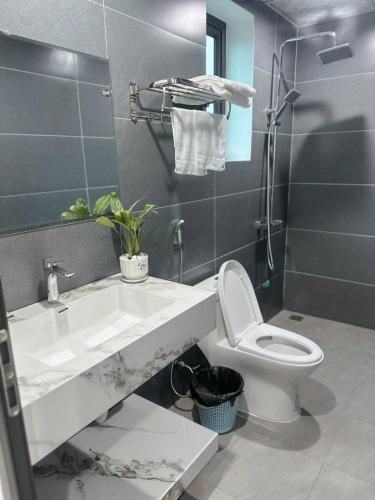 a bathroom with a sink and a toilet at BamBoo Villa Homestay in Ninh Binh