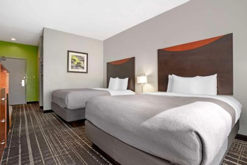 two beds in a hotel room with green walls at Quality Inn & Suites Birmingham - Highway 280 in Birmingham