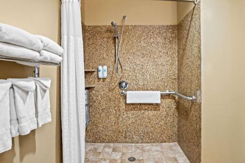 a bathroom with a shower with a shower curtain at Comfort Suites Frisco in Frisco