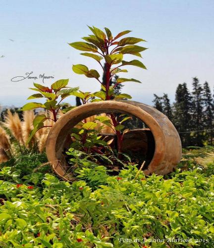 an old rusty object in a garden with plants at Villa La Lumia B&B Suites & Apartments in Agrigento