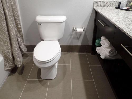 a bathroom with a white toilet and a counter at Brentwood Suites Nashville, an Ascend Collection Hotel in Brentwood