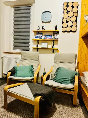 Apartmán Abertamy 265