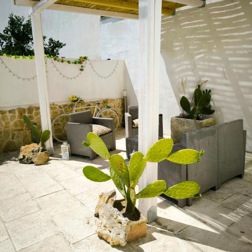 a group of potted plants on a patio at Casa Vrani in Borgagne