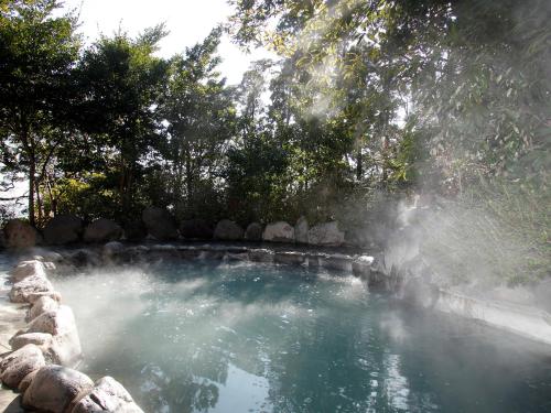 La alberca dentro o cerca de Hotel Kirishima Castle