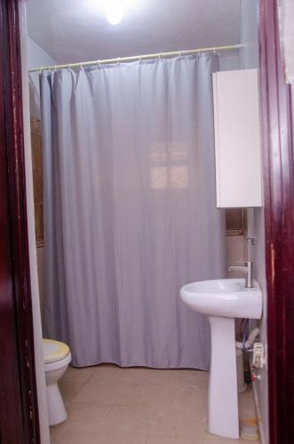 a bathroom with a shower curtain and a sink at Soolar Apartment in Ikorodu in Ikorodu