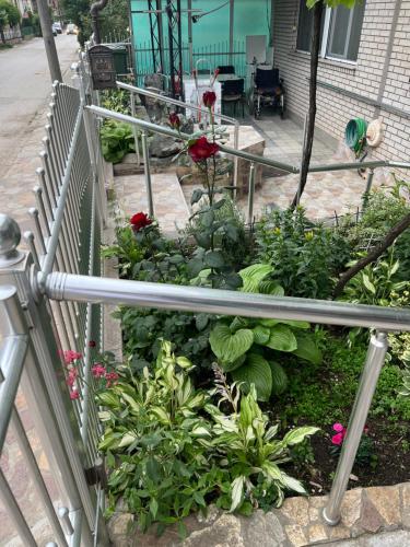 a garden with roses and plants on a porch at Slobo Velickovic in Prokuplje