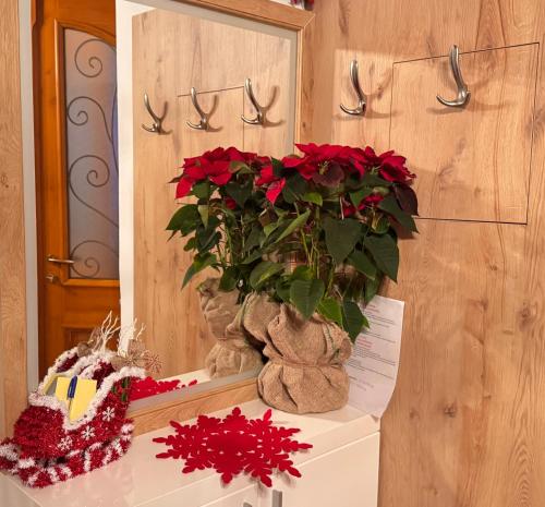 a vase with red flowers in front of a mirror at Mezini Guest House in Gjirokastër