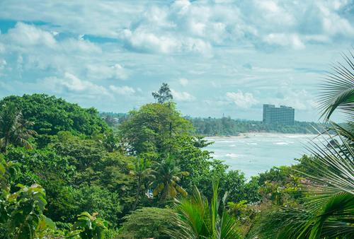 a view of a beach with trees and the ocean at Sanasa Villa Weligama in Weligama