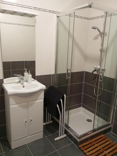 un bagno con doccia e lavandino di La bonne adresse a Woippy