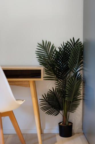 a plant in a black pot sitting next to a desk at Garden View Collingwood in Melbourne