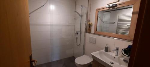 a bathroom with a shower and a toilet and a sink at Chaletwohnung Alpenglück in Burgberg