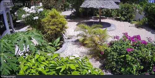 Fotografie z fotogalerie ubytování Jawda v destinaci Nungwi