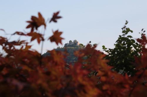 a view of a building through autumn leaves at Haus Am Sonnenhügel in Bad Urach
